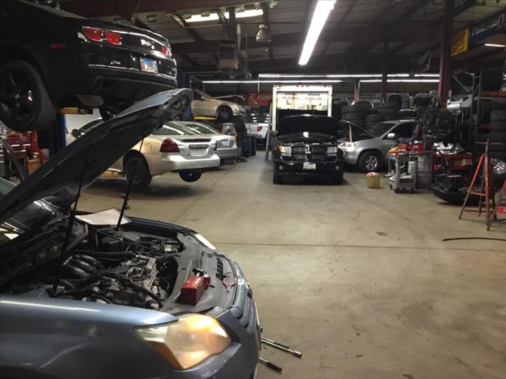 Chihuahua Tire Shop Aurora, IL