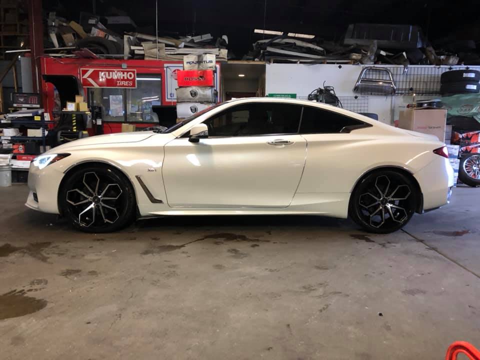 Chihuahua Tire Shop Aurora, IL