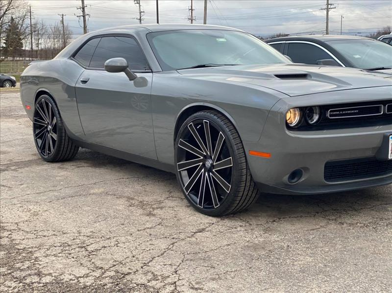 Chihuahua Tire Shop Aurora, IL